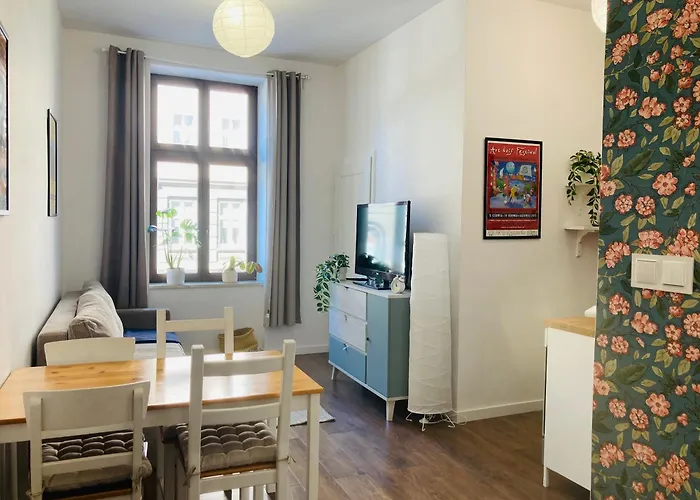 Kato Cosi קטוביץ